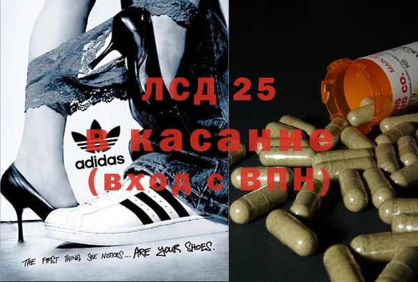 шишки Балабаново